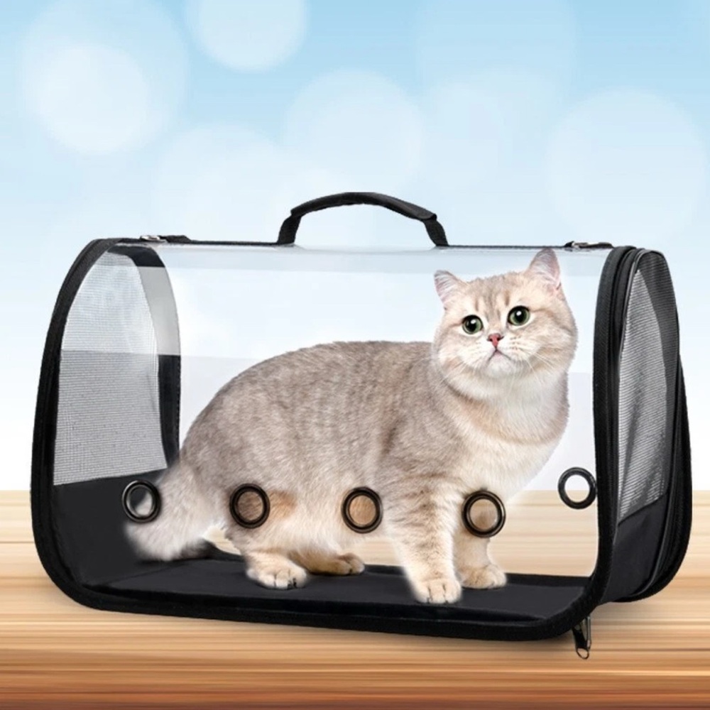 Bird Small Pets Carrier Breathable Travel Cage W/Perch Foldable Size Large New - Picture 2 of 13
